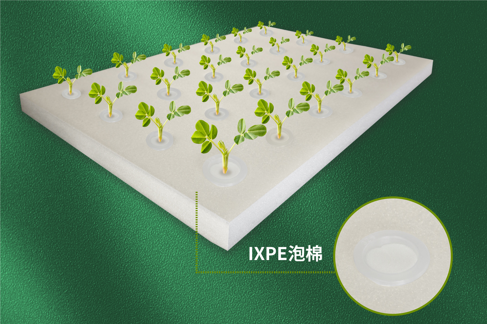 IXPE泡棉在漂浮種植板上的應(yīng)用 